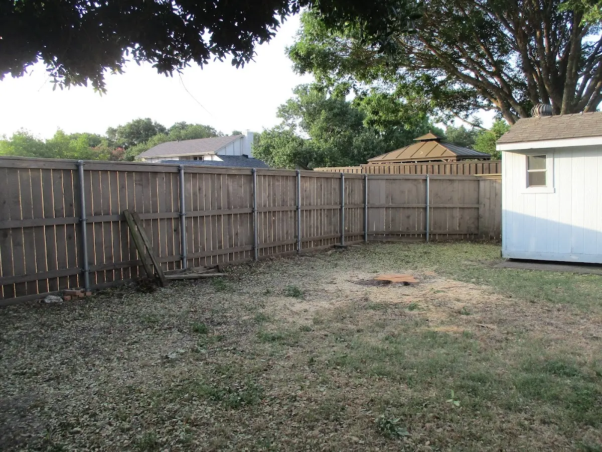 Cleared yard after professional tree removal in Moundridge